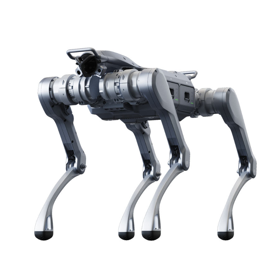 Unitree Quadrupeds