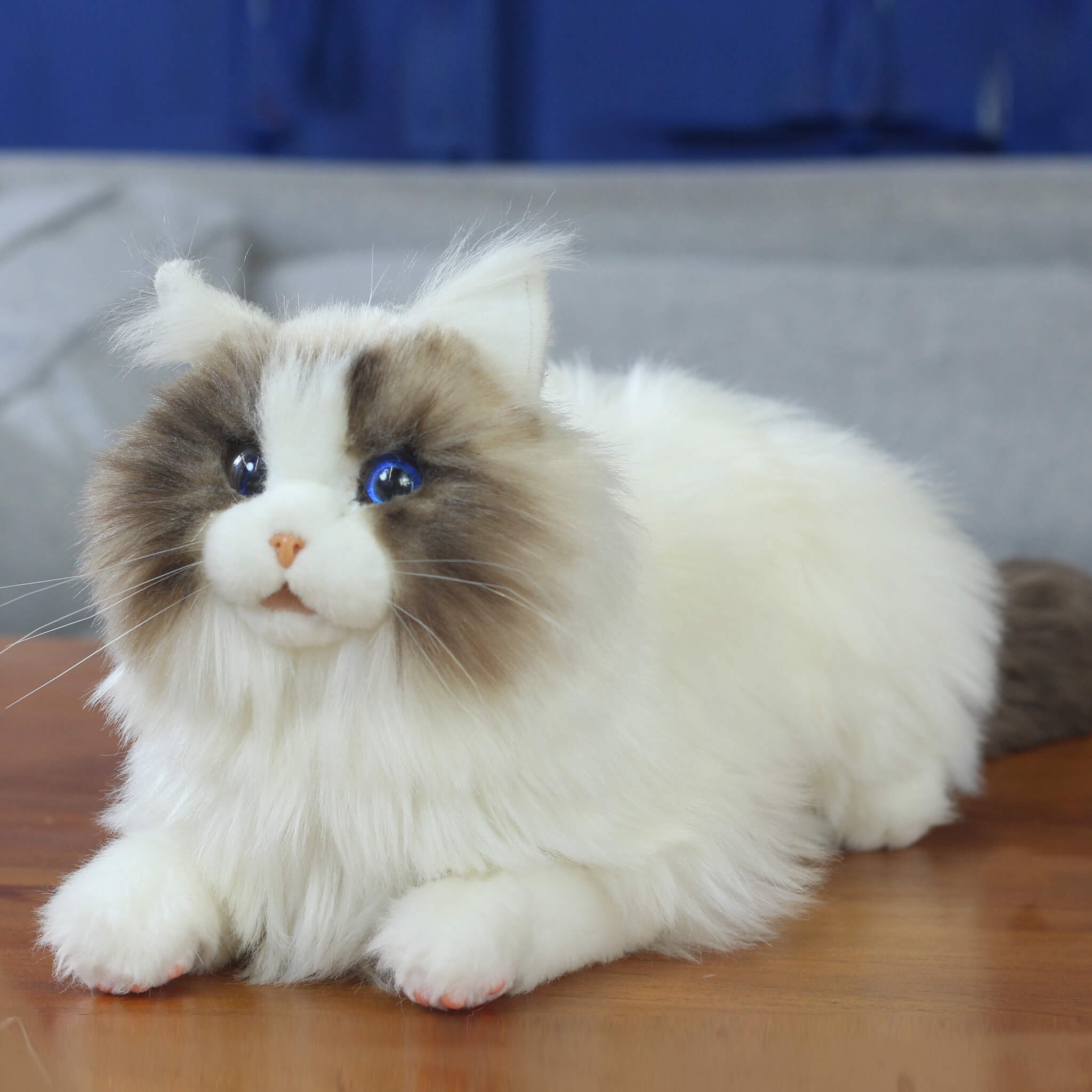 Elephant Robotics metaCat: Gift the Purr~Fect Companion Robotic Pet Cat