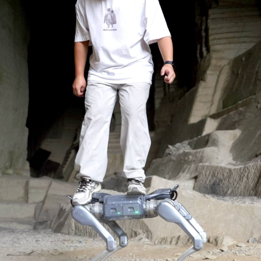 Unitree A2 Industrial Robot Dog | AI Quadruped Robot Platform for Enterprise, Research & Automation