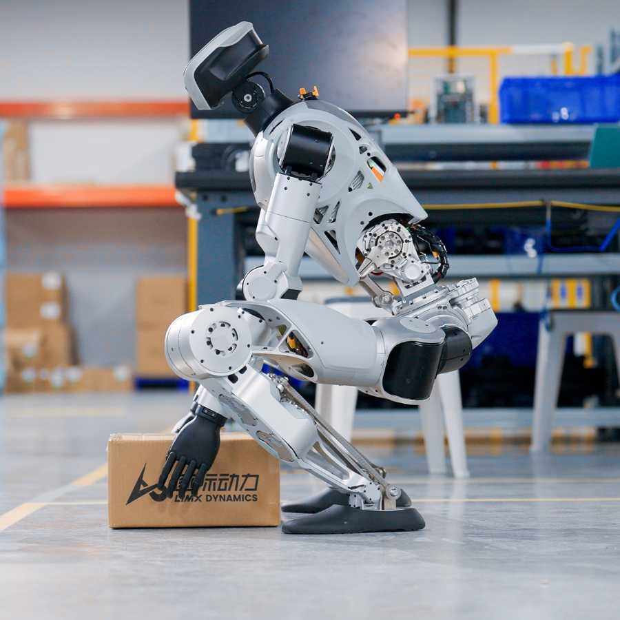 LimX Dynamics Humanoid Robot Oli Edu