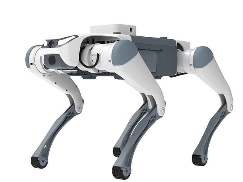 Deep Robotics - Lite 3 Robot Dog