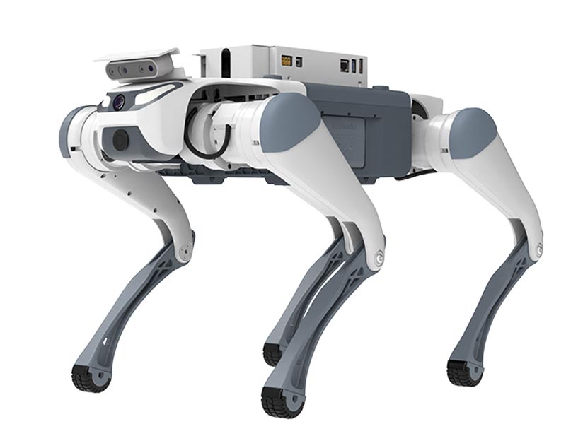 Deep Robotics - Lite 3 Robot Dog