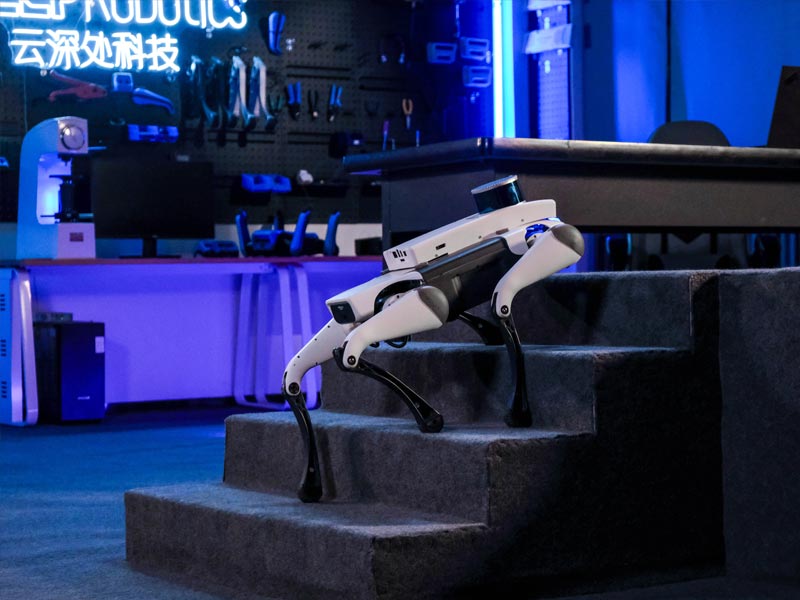 Deep Robotics - Lite 3 Robot Dog