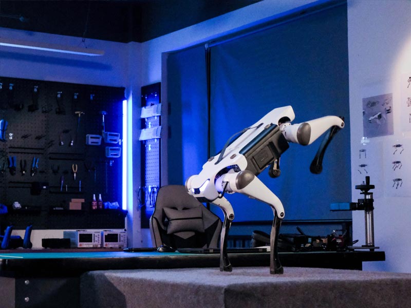 Deep Robotics - Lite 3 Robot Dog