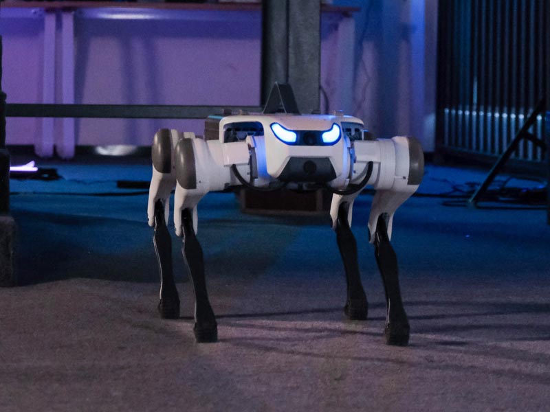 Deep Robotics - Lite 3 Robot Dog