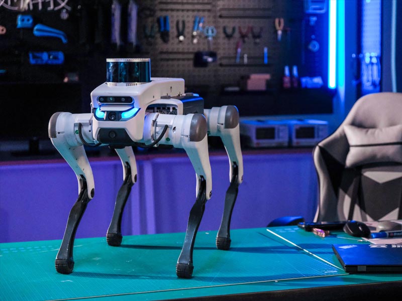 Deep Robotics - Lite 3 Robot Dog